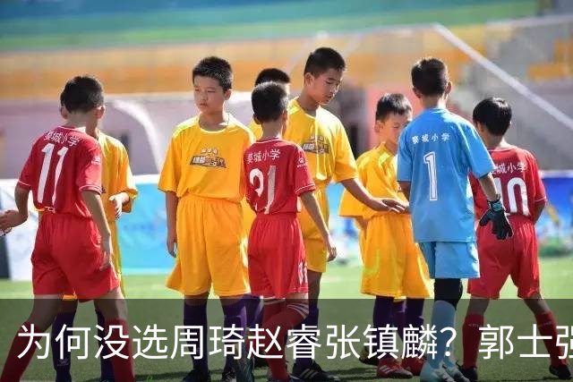 为何没选周琦赵睿张镇麟？郭士强说得很直白，太务实了，好样的！